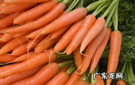 吃了胡萝卜放屁多是怎么回事 胡萝卜吃了容易放屁吗