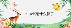 allself是什么牌子