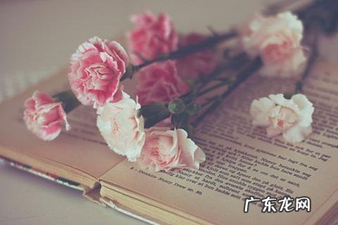 冷的说说：你是我患得患失的梦,我是你可有可无的人