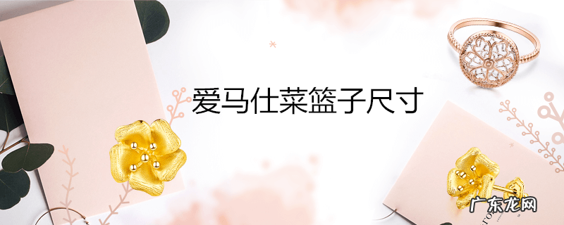 爱马仕菜篮子尺寸