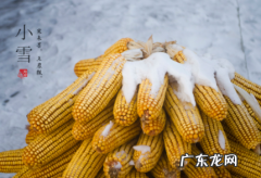 2021年小雪节气是哪一天 小雪节气打雷有什么说法2021