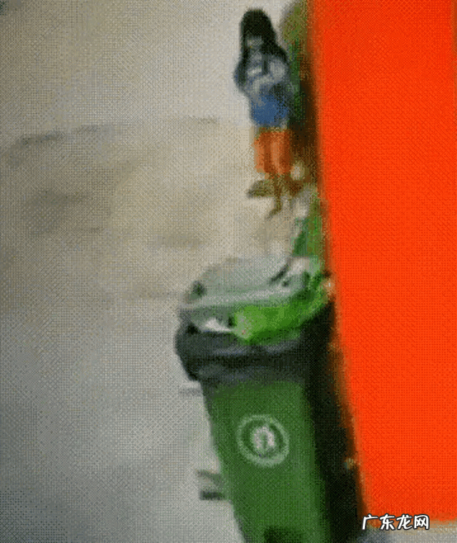 带着小孩在路上遇到没有牵绳的狗扑过来,怎么打狗