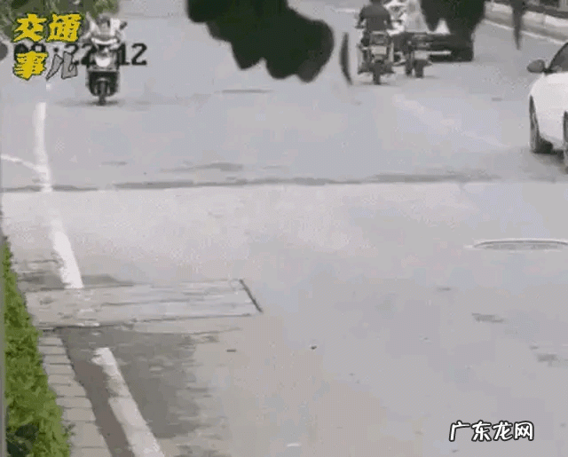 带着小孩在路上遇到没有牵绳的狗扑过来,怎么打狗