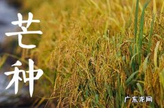 2023年芒种节气在阳历的几月