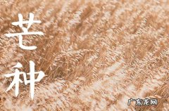 今年几月几日芒种2023