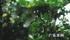 梅雨季节是什么时间结束2020 2022年梅雨期有多少天