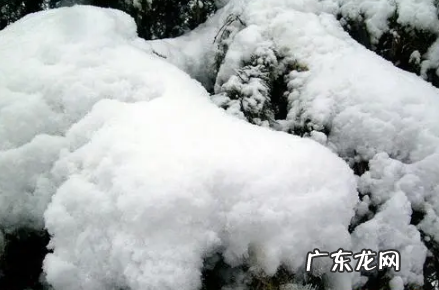 上海大概几月份下雪 2022上海下雪一般在几月份