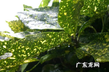 上海的梅雨季节是几月份 2022年上海梅雨季节热吗