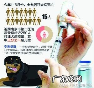 疯狗咬伤打狂犬疫苗有作用吗 被疯狗咬到打狂犬疫苗有用吗