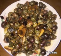 大田螺可以吃吗