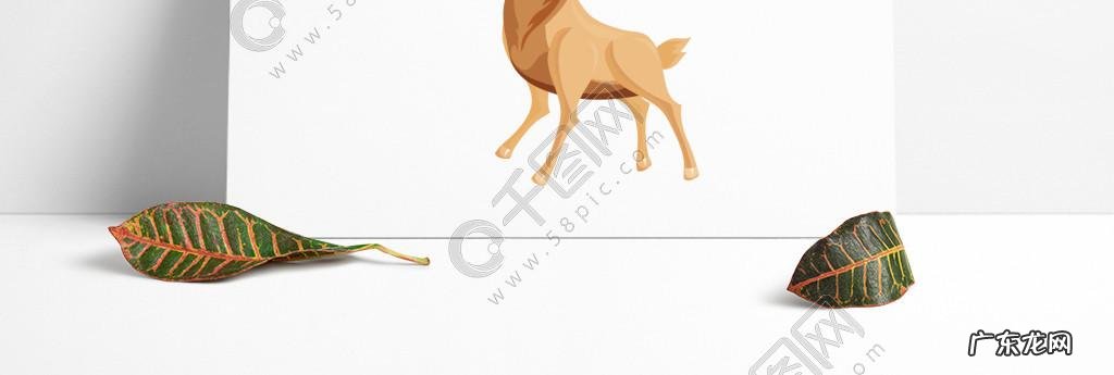 HEIF图片是什么?如何制作HEIF图片,HEIF图片怎么做