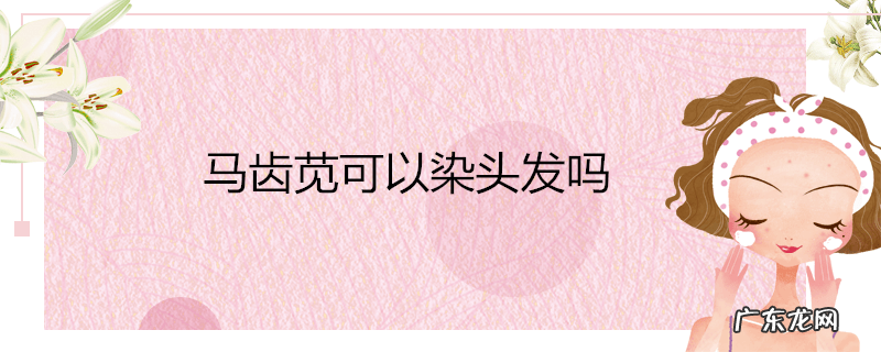 马齿苋可以染头发吗