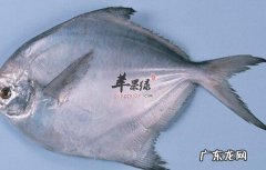 平鱼有什么功效
