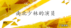 南北少林的演员