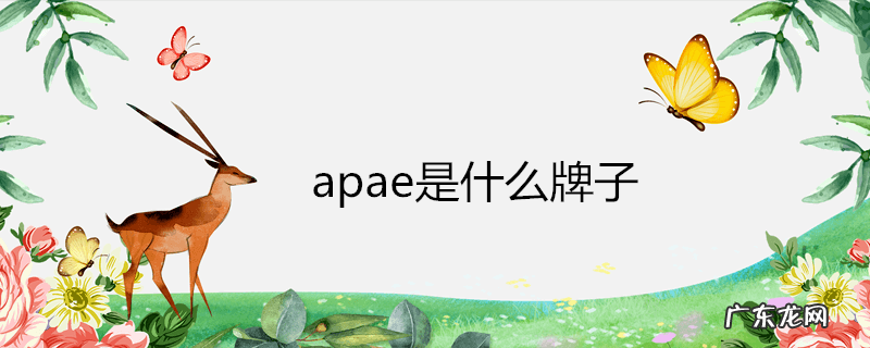 apae是什么牌子