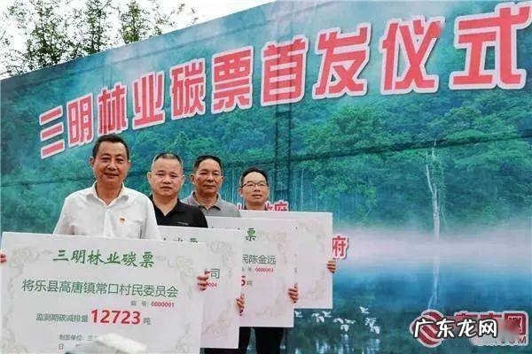 什么叫林业碳票