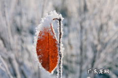 今年冬天会下雪吗2021 今年冬天北方雨雪多吗2021-2022