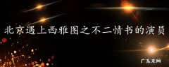 北京遇上西雅图之不二情书的演员