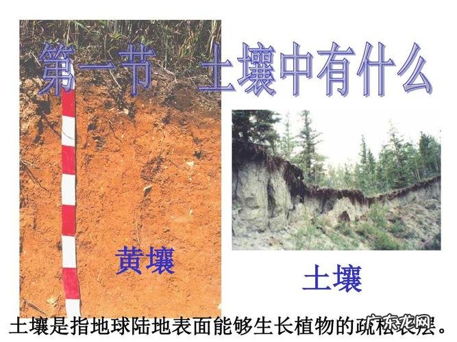 土壤是陆地表面能够生长植物的什么东西