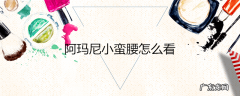 阿玛尼小蛮腰怎么看