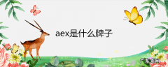 aex是什么牌子