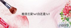 雅诗兰黛1w1白还是1c1