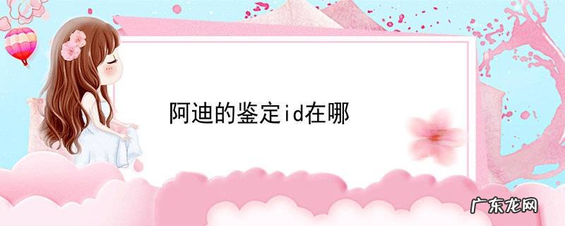 阿迪的鉴定id在哪