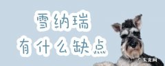 雪瑞纳优点缺点 雪纳瑞有什么缺点