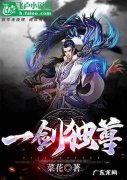 一剑独尊五维天道旁边的声音是谁