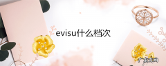 evisu什么档次