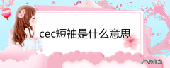 cec短袖是什么意思