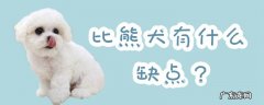 比熊犬的优缺点及性格 比熊犬有什么缺点