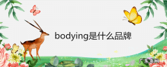bodying是什么品牌