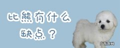 比熊好养吗?优缺点有哪些 比熊有什么缺点