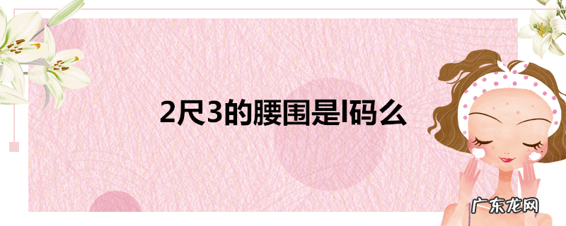 2尺3的腰围是l码么