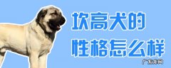 坎高犬聪明吗 坎高犬的性格怎么样