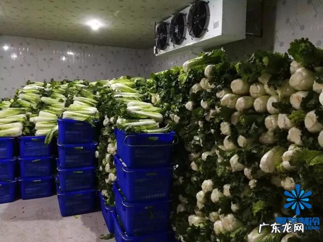 蔬菜在冷库怎样保鲜