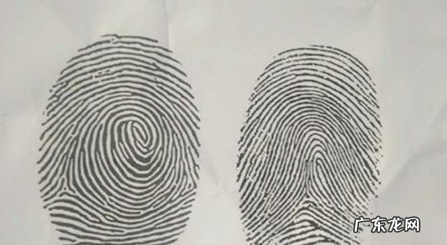 手指斗和簸箕如何区分