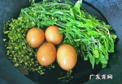 荠菜煮鸡蛋的功效