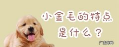 金毛狗最大的特点是什么 小金毛的特点是什么
