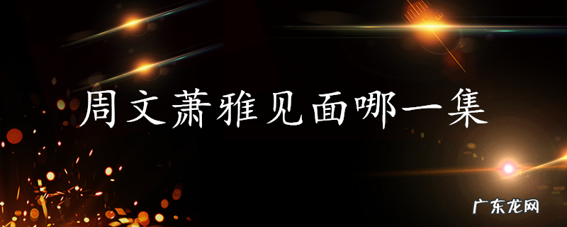 周文萧雅见面哪一集