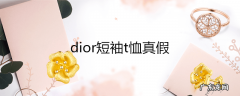 dior短袖t恤真假