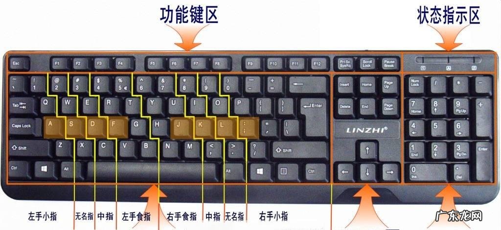 教你如何正确使用电脑键盘,电脑键盘功能与使用技巧
