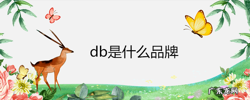 db是什么品牌