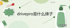 drivepro是什么牌子