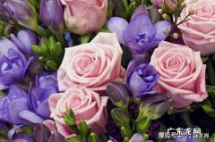 女人最有福的生日尾数