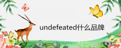 undefeated什么品牌