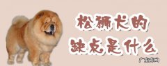松狮犬怎么样 松狮犬的缺点是什么