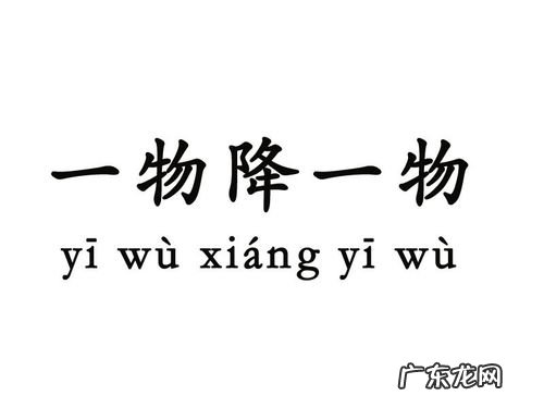 一物降一物下一句是什么?你知道吗?