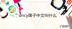 dncy牌子中文叫什么